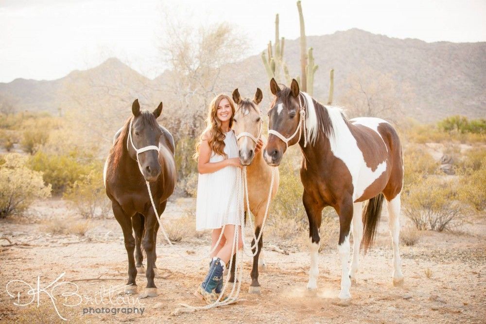 Horses and Seniors