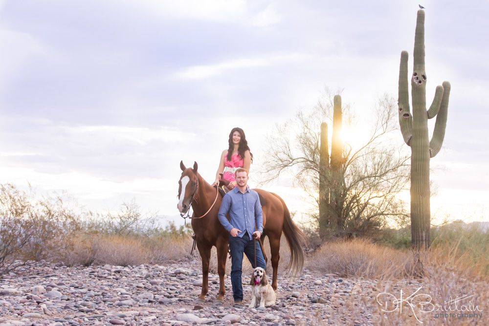 Horse and Dog Family
