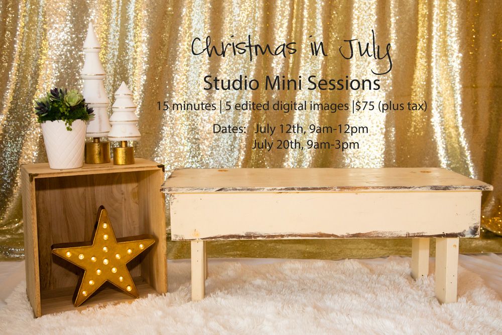 Christmas in July Mini Sessions